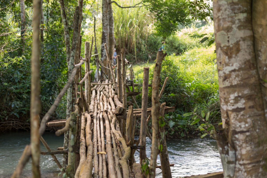 Wooden bridge on the path to Khmus village